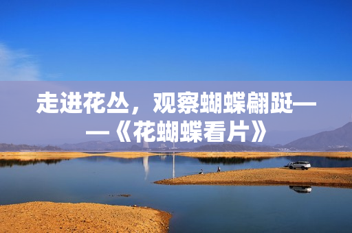 走进花丛，观察蝴蝶翩跹——《花蝴蝶看片》