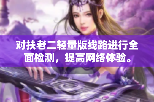 对扶老二轻量版线路进行全面检测，提高网络体验。