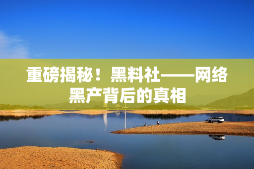 重磅揭秘！黑料社——网络黑产背后的真相