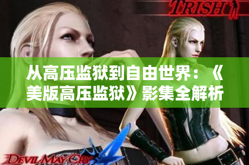 从高压监狱到自由世界：《美版高压监狱》影集全解析
