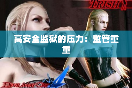 高安全监狱的压力：监管重重