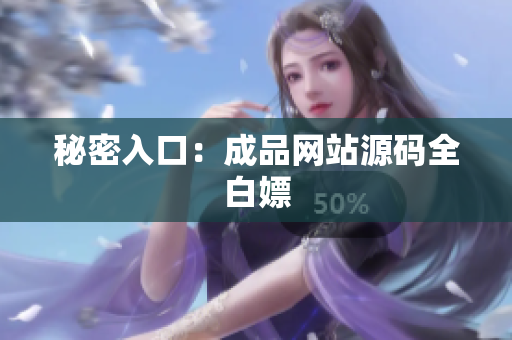 秘密入口：成品网站源码全白嫖