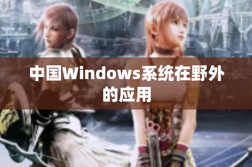 中国Windows系统在野外的应用