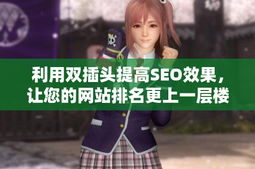利用双插头提高SEO效果，让您的网站排名更上一层楼