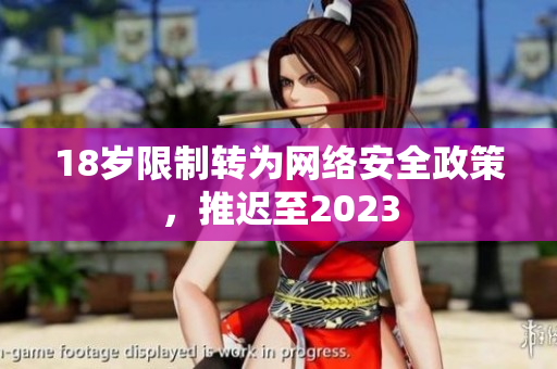 18岁限制转为网络安全政策，推迟至2023