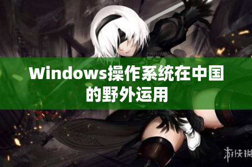 Windows操作系统在中国的野外运用