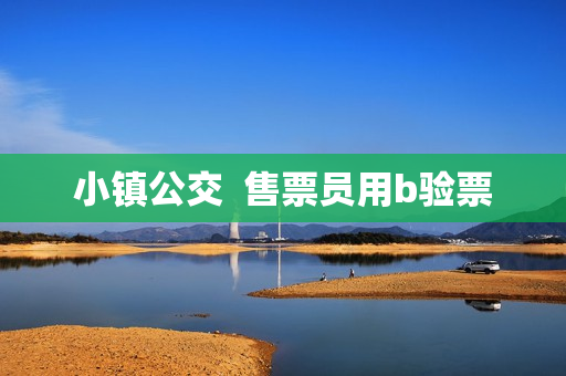 小镇公交  售票员用b验票
