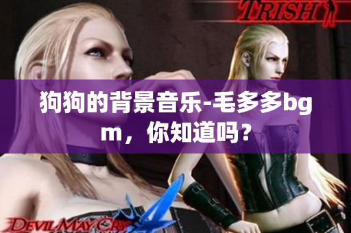 狗狗的背景音乐-毛多多bgm，你知道吗？