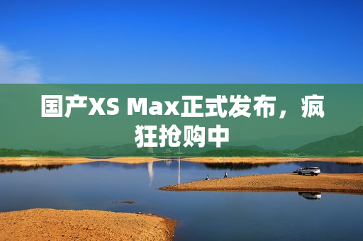 国产XS Max正式发布，疯狂抢购中