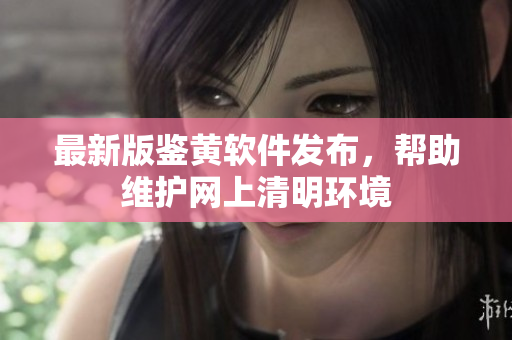 最新版鉴黄软件发布，帮助维护网上清明环境