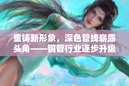 重铸新形象，深色管线崭露头角——铜管行业逐步升级