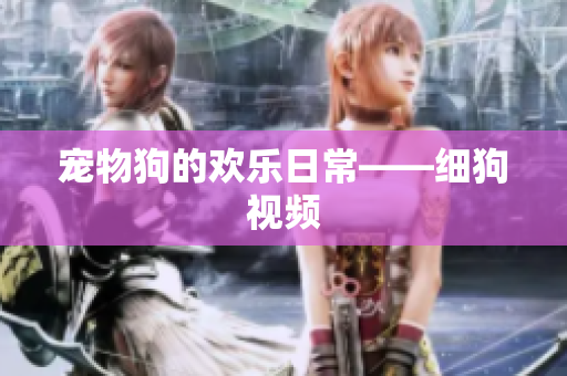 宠物狗的欢乐日常——细狗视频