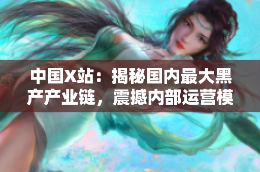 中国X站：揭秘国内最大黑产产业链，震撼内部运营模式！