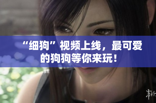 “细狗”视频上线，最可爱的狗狗等你来玩！
