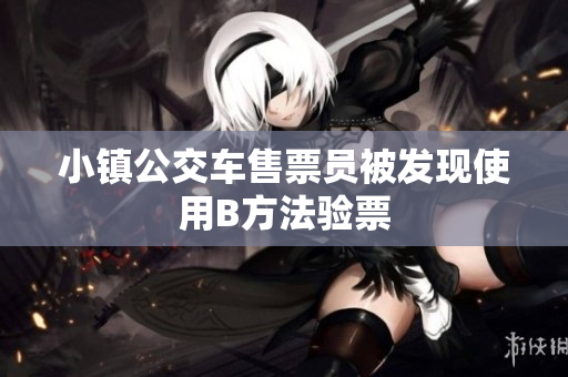 小镇公交车售票员被发现使用B方法验票