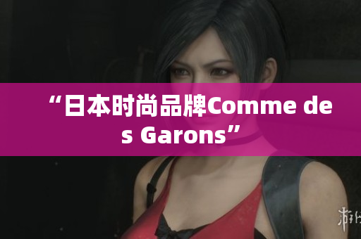 “日本时尚品牌Comme des Garons”
