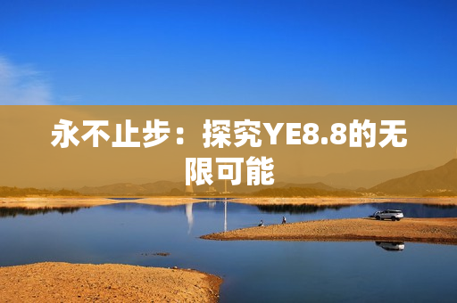 永不止步：探究YE8.8的无限可能