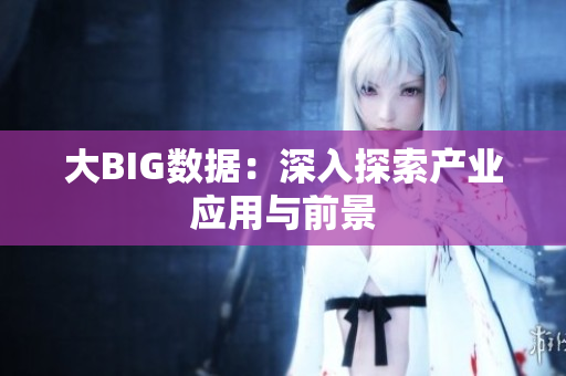 大BIG数据：深入探索产业应用与前景