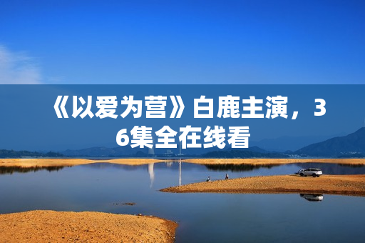 《以爱为营》白鹿主演，36集全在线看