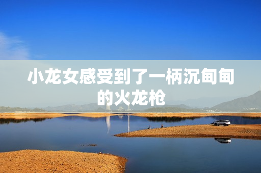 小龙女感受到了一柄沉甸甸的火龙枪