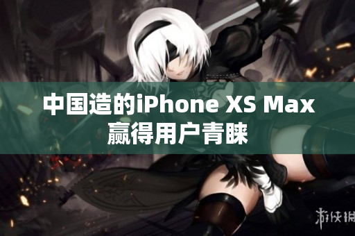 中国造的iPhone XS Max赢得用户青睐