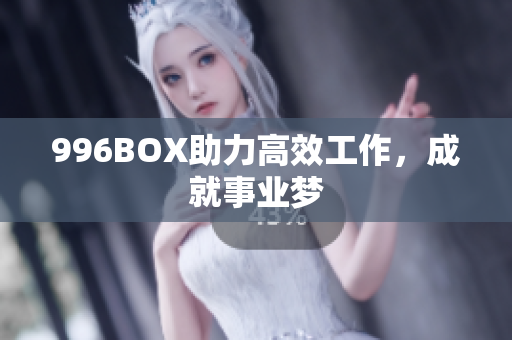 996BOX助力高效工作，成就事业梦