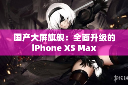 国产大屏旗舰：全面升级的iPhone XS Max