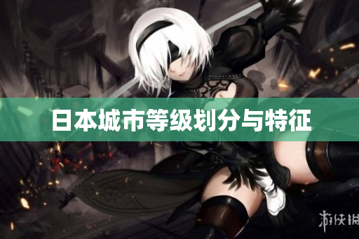 日本城市等级划分与特征