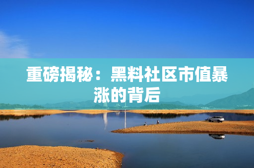重磅揭秘：黑料社区市值暴涨的背后