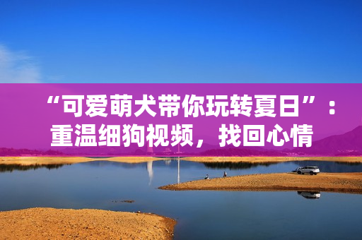 “可爱萌犬带你玩转夏日”：重温细狗视频，找回心情