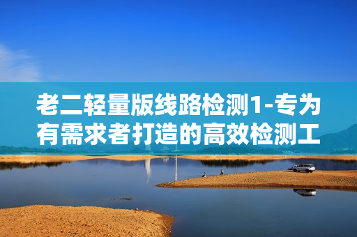 老二轻量版线路检测1-专为有需求者打造的高效检测工具