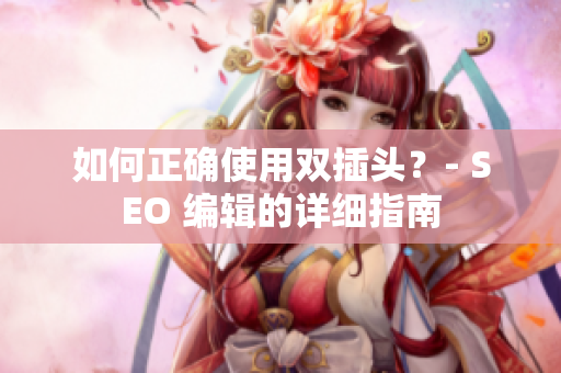 如何正确使用双插头？- SEO 编辑的详细指南