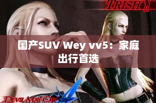 国产SUV Wey vv5：家庭出行首选