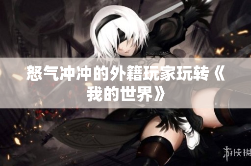怒气冲冲的外籍玩家玩转《我的世界》