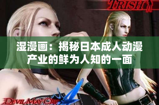 湿漫画：揭秘日本成人动漫产业的鲜为人知的一面