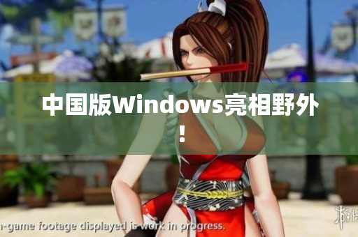 中国版Windows亮相野外！