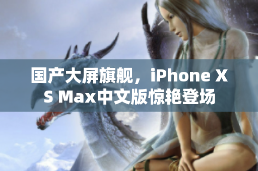 国产大屏旗舰，iPhone XS Max中文版惊艳登场