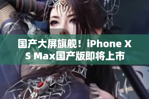 国产大屏旗舰！iPhone XS Max国产版即将上市