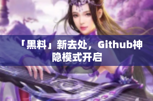 「黑料」新去处，Github神隐模式开启