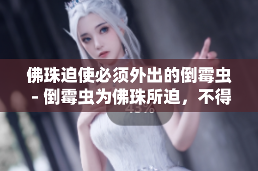 佛珠迫使必须外出的倒霉虫 - 倒霉虫为佛珠所迫，不得不外出