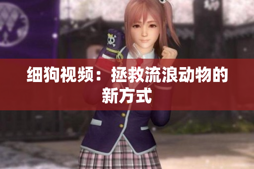 细狗视频：拯救流浪动物的新方式