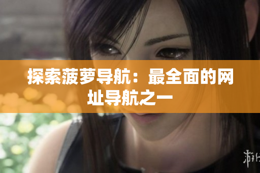 探索菠萝导航：最全面的网址导航之一