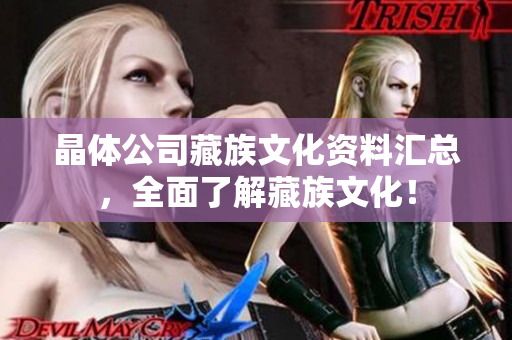晶体公司藏族文化资料汇总，全面了解藏族文化！