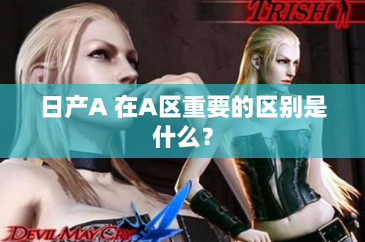 日产A 在A区重要的区别是什么？