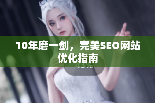 10年磨一剑，完美SEO网站优化指南