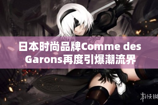 日本时尚品牌Comme des Garons再度引爆潮流界