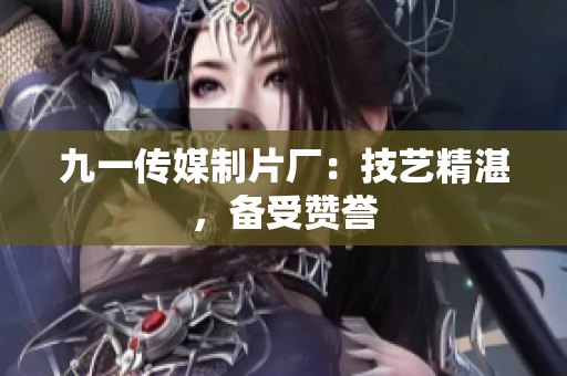 九一传媒制片厂：技艺精湛，备受赞誉