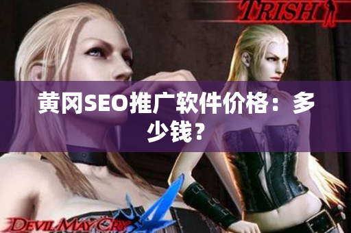 黄冈SEO推广软件价格：多少钱？