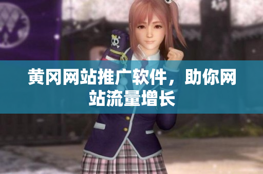 黄冈网站推广软件，助你网站流量增长