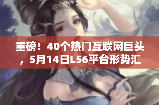 重磅！40个热门互联网巨头，5月14日L56平台形势汇报